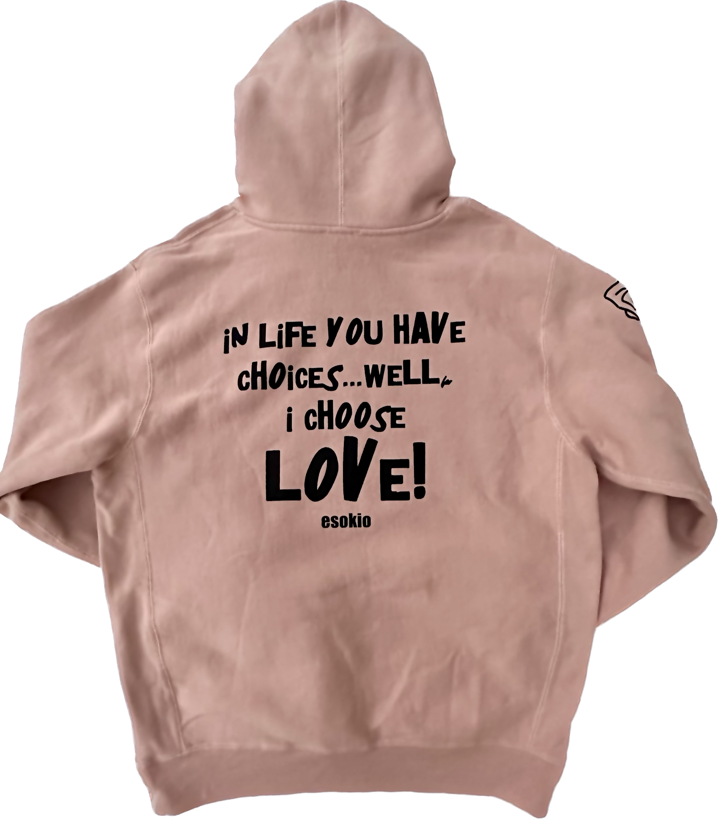 SIGNATURE IN LIFE YOU HAVE CHOICES Hoodie